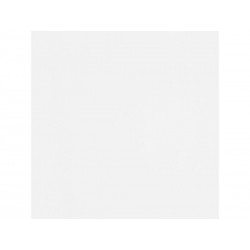 Barre de seuil à fixer avec cheville invisible à coller blanc 830x37mm