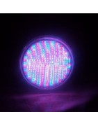 Coussins, rideaux et accessoires